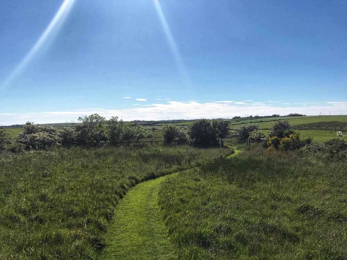 Willow Glamping Hut With Hot Tub, Ensuite, Bbq, Firepit, Views, Fenced Garden, Dog Friendly, Alpacas On Site On Anglesey, North Wales Amlwch Bagian luar foto